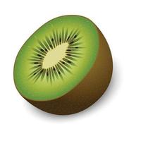 la mitad de la maqueta de kiwi, estilo realista vector