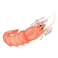 Sea shrimp icon, cartoon style vector