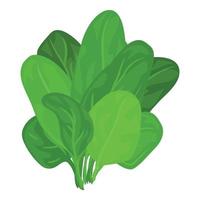 Spinach leaves icon, cartoon style vector