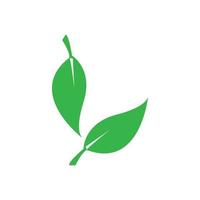 Green leaf logo vector