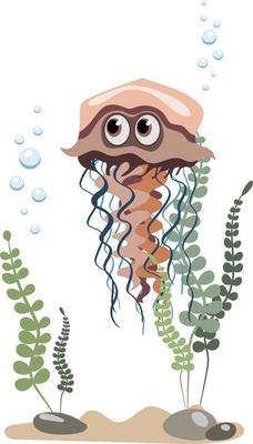 Single aquarium jellyfish with seaweed and stones, isolated on white background