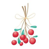 Isolated illustration of a bunch of twigs tied with a rope with red rowan or lingonberry berries. vector