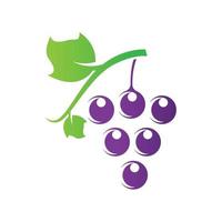 Grape logo images vector