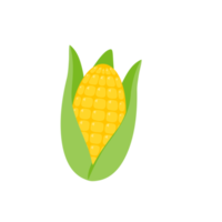 Green husks of yellow corn are used as a food ingredient. png