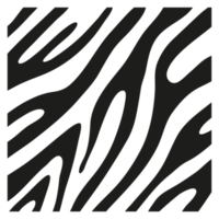 Black stripes on the skin of a zebra for decoration graphics png