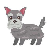 cute dog schnauzer vector