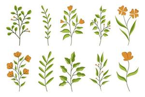 Set of botanical abstract flowers, Hand drawn floral leaves isolated on white background vector