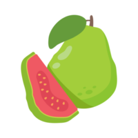 grön guava ljuv frukt med hög vitamin c för hälsa för vegetarianer. png