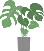 monstera fabriek uit de vrije hand tekening vlak ontwerp. png