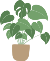 monstera fabriek uit de vrije hand tekening vlak ontwerp. png