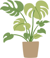 monstera pflanze freihand zeichnen flaches design. png