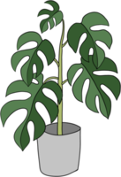 monstera plant freehand drawing flat design. png