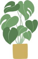 monstera fabriek uit de vrije hand tekening vlak ontwerp. png