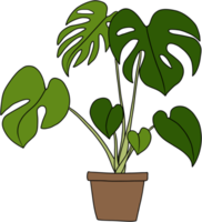 monstera fabriek uit de vrije hand tekening vlak ontwerp. png