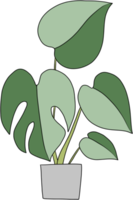 monstera växt freehand teckning platt design. png