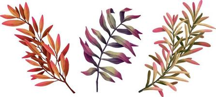Set of watercolor leaf branches. Hand drawn watercolor illustration vector