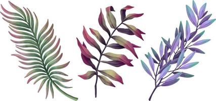 Set of watercolor leaf branches. Hand drawn watercolor illustration vector