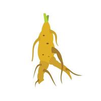 Ginseng rot icon, flat style vector