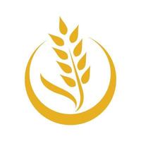 Wheat logo images vector