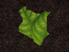 Kenya map made of green leaves on soil background ecology concept photo