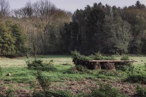 carro agrícola abandonado en el campo foto