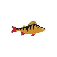 Perch fish icon in flat style vector