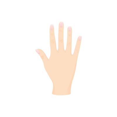 Opened palm of the hand icon, cartoon style