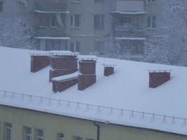 árboles cubiertos de nieve en una tormenta de nieve en la ciudad foto