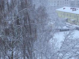 Snow-covered trees in a snowstorm in the city photo