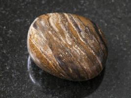 polished stromatolite gemstone on dark background photo