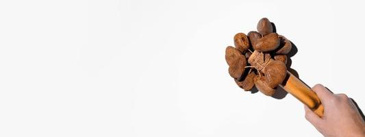 Traditional percussion instrument on a white background. Hand holding bamboo maracas. Music banner, copy space photo