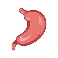 Stomach icon, cartoon style vector