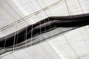 Net shade inside an agricultural greenhouse photo