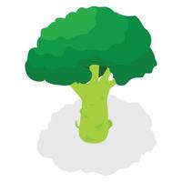 Broccoli icon set, isometric style vector