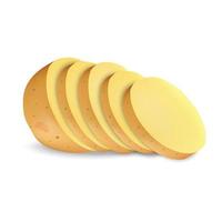 Sliced potato mockup, realistic style vector