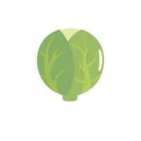 Cabbage icon, flat style. vector