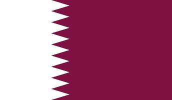 Qatar flag image vector