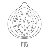 Fig icon, outline style. vector