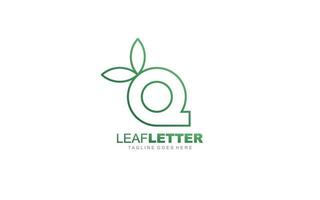 Q logo leaf for identity. nature template vector illustration for your brand.