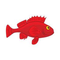 Red betta fish, fighting fish icon, cartoon style vector