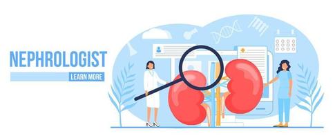 Nephropathy concept vector. Tiny doctors treat kidneys. Pyelonephritis and kidney stones diseases are shown. Renal failure illustration for website vector