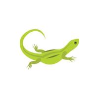 Lizard icon in flat style vector