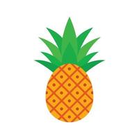 Pineapple icon, flat style vector