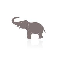 Elephant vector logo design. Creative elephant abstract logo design.