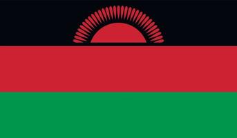 Malawi flag image vector