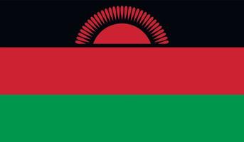 Malawi flag image vector