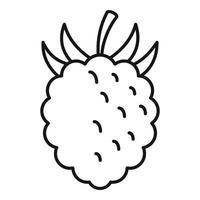 Raspberry fazz icon, outline style vector