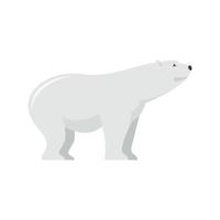 Watching of polar bear icon, flat style vector