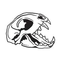 Cat Skull Illustration vector