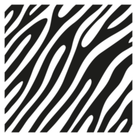 Black stripes on the skin of a zebra for decoration graphics png